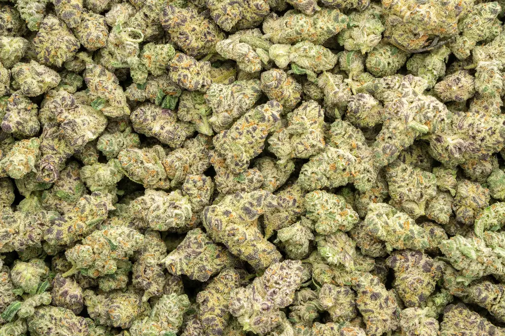 Dante's Inferno Indoor Mediums