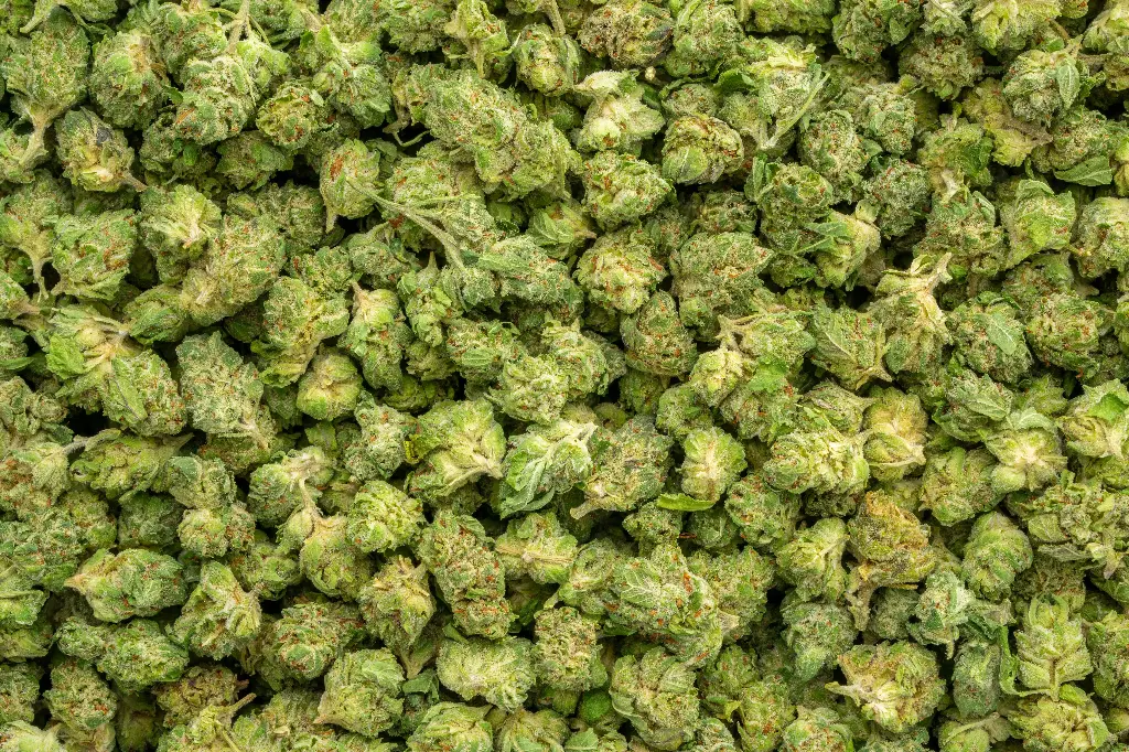 Gas Mints Indoor Smalls