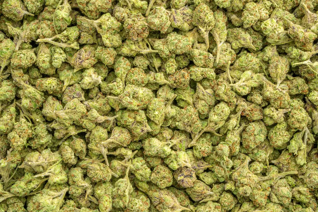 Blueberry Muffin Smalls