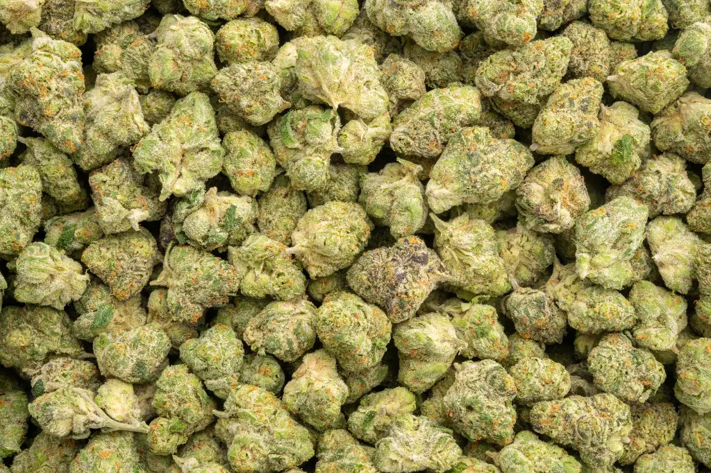 Private Reserve Indoor Mediums