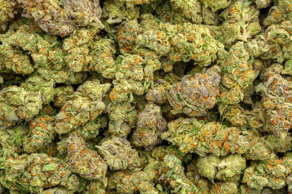 Northern Lights Indoor