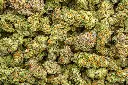 Northern Lights Indoor