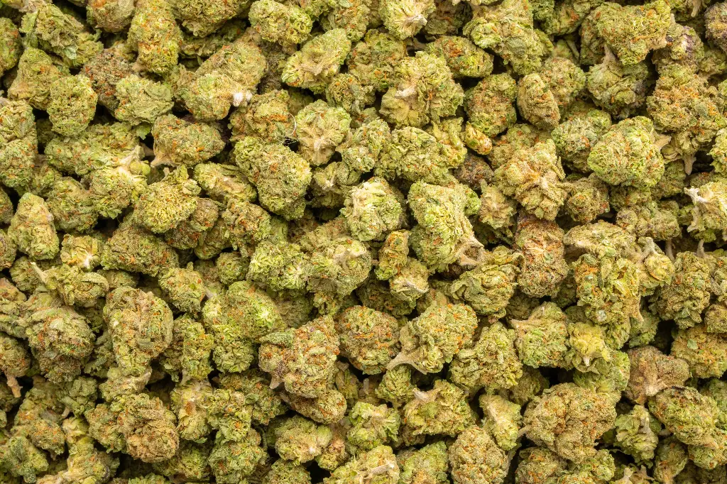 Grape Candy Indoor Smalls