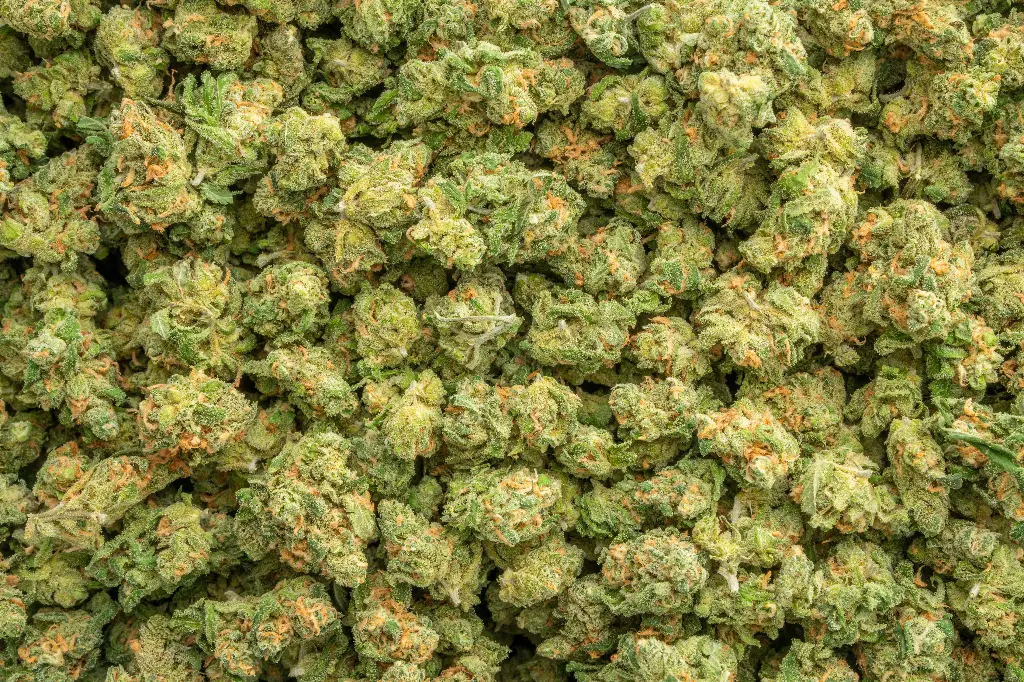 Blue Dream Indoor Smalls