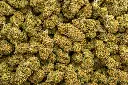 Lemon Cherry Guava