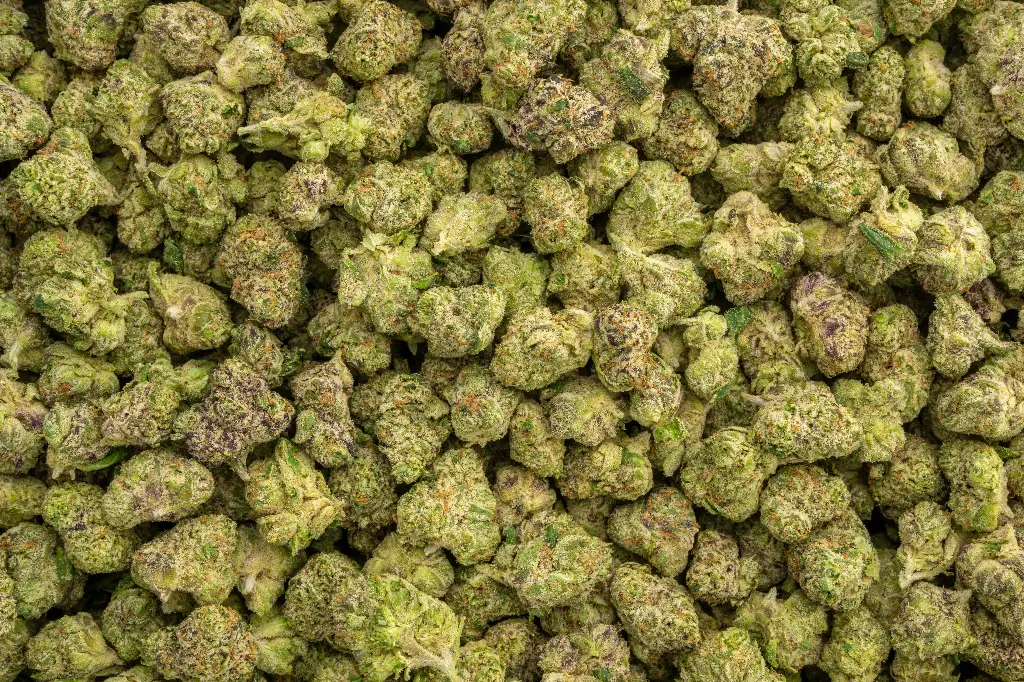 Gummiez Indoor Mediums