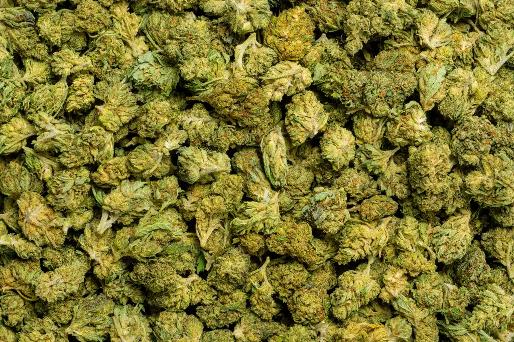 Bubba 59 Smalls (CBD) 