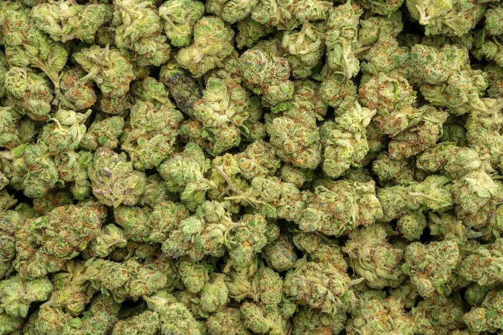 Candy Glue Indoor Mediums