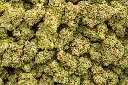 Caked Up Candy Indoor