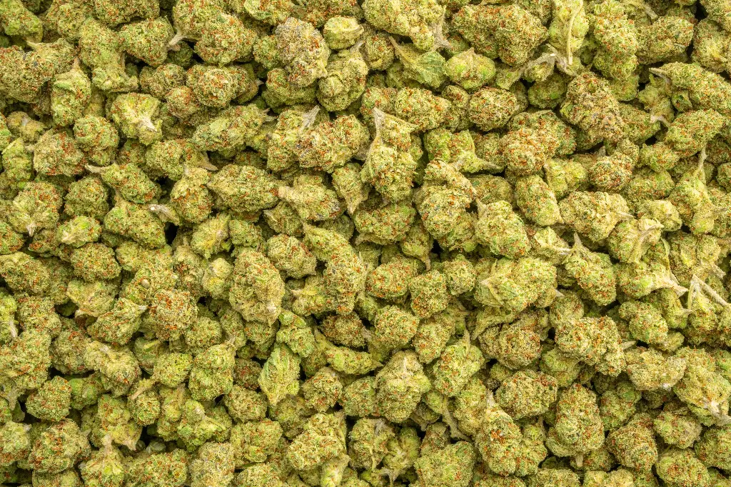 Green Lantern Smalls