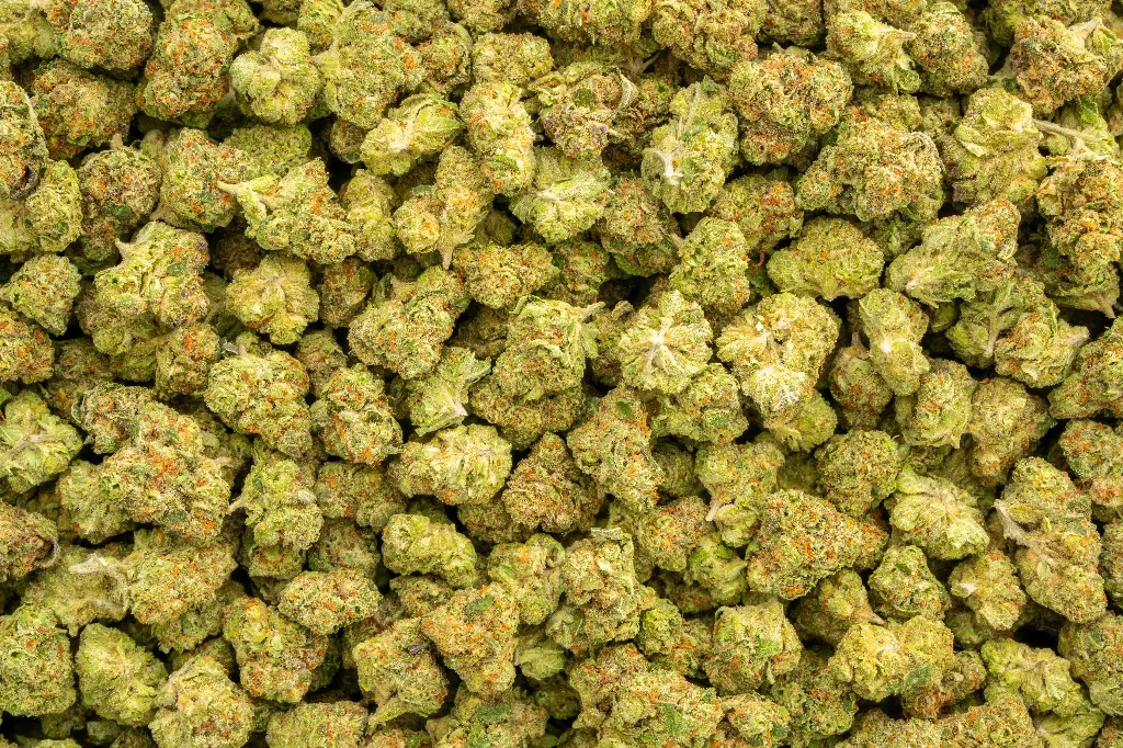 Star Fighter Indoor Smalls