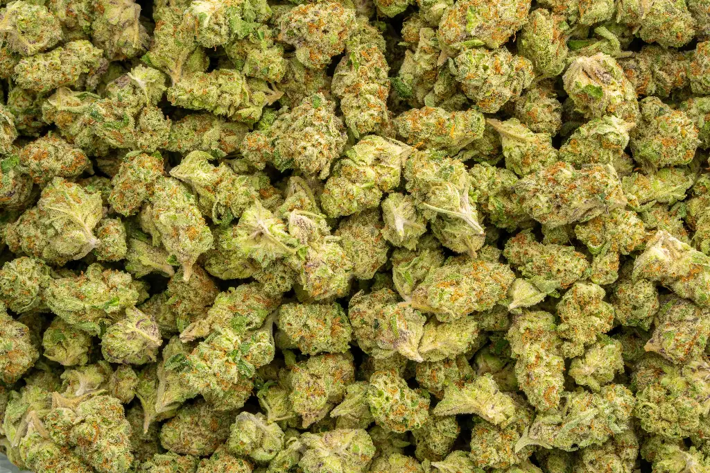 Secret Weapon Indoor Smalls