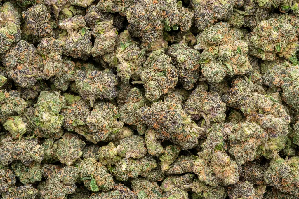 Watermelon Zkittles Indoor Smalls