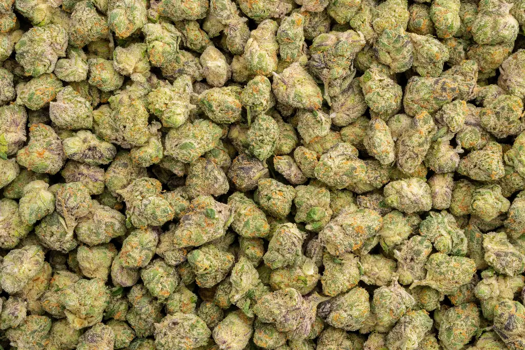 Devil Fruit Indoor Smalls 