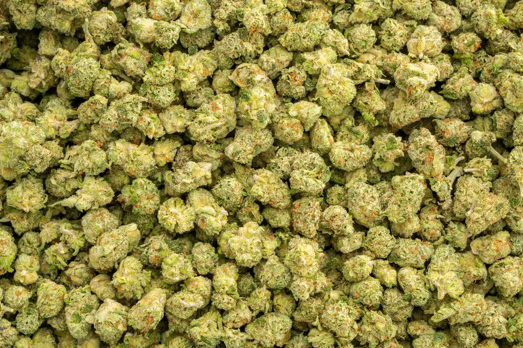Devil Fruit Indoor Smalls 