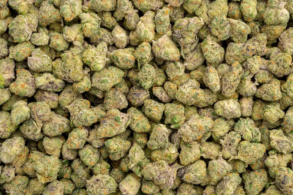 Devil Fruit Indoor Smalls 