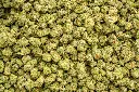 Devil Fruit Indoor Smalls 