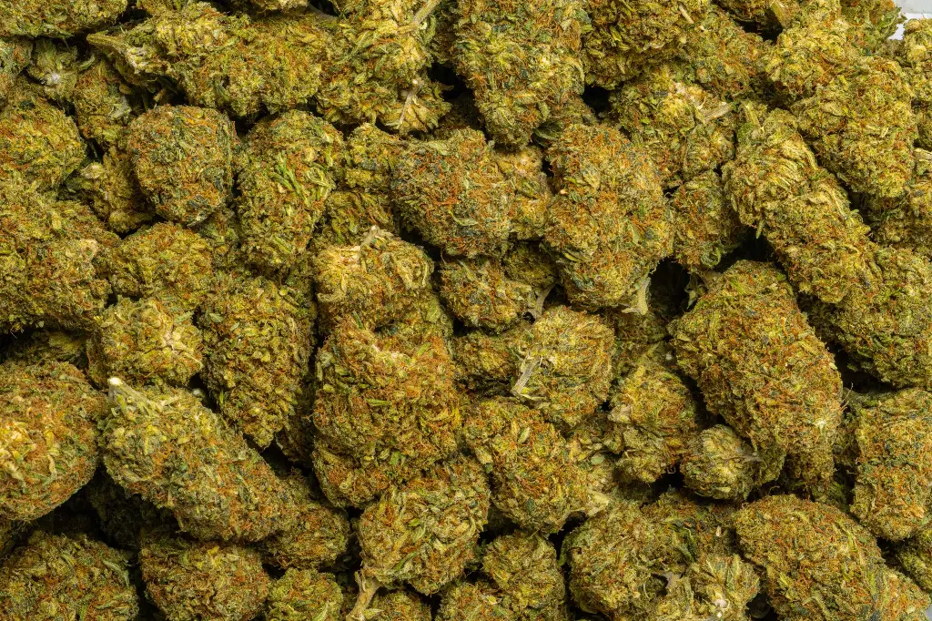 Cakeberry Brulee (CBD) 