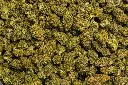 Cakeberry (CBD)