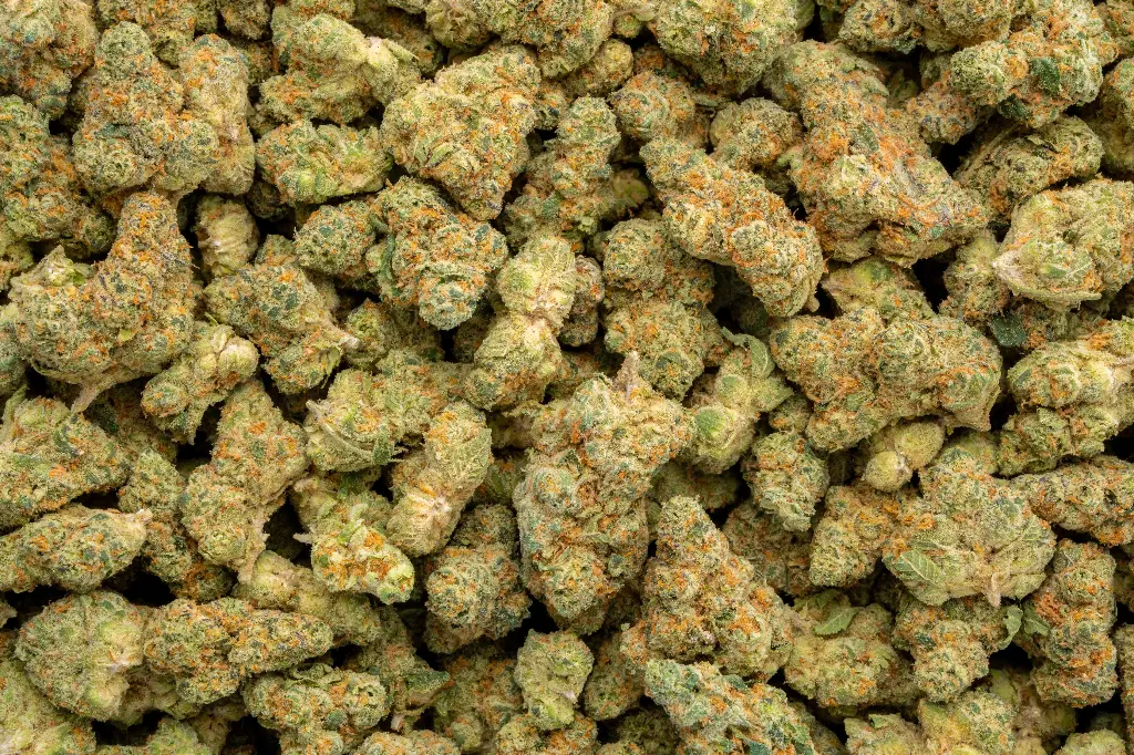 Cali-O Indoor Mediums