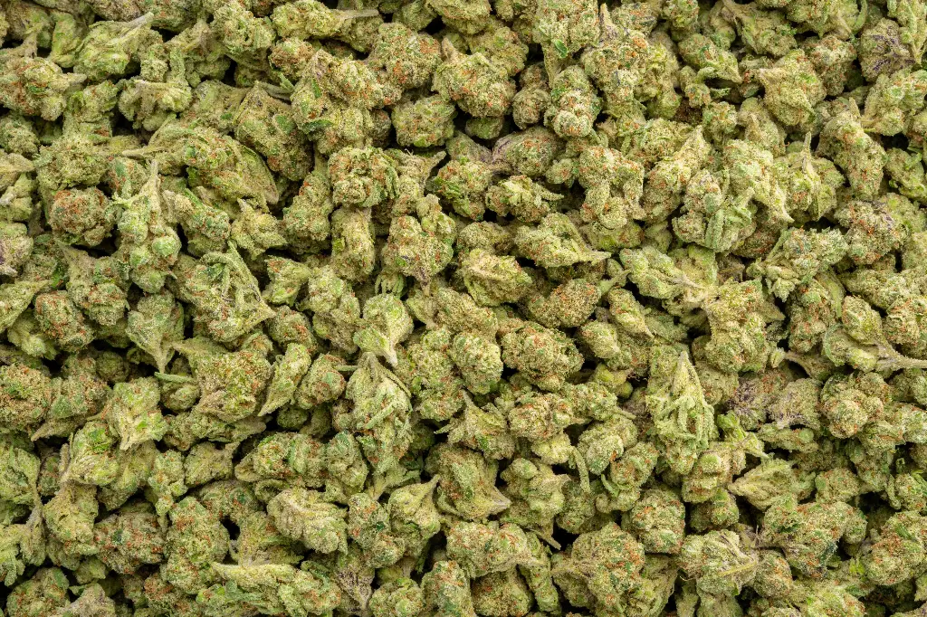 Unicorn Runtz Smalls