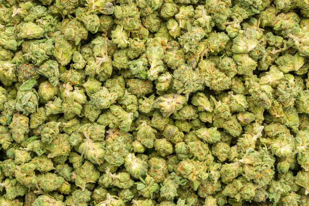 Blackberry Caviar Indoor Smalls