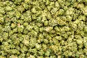 Blackberry Caviar Indoor Smalls