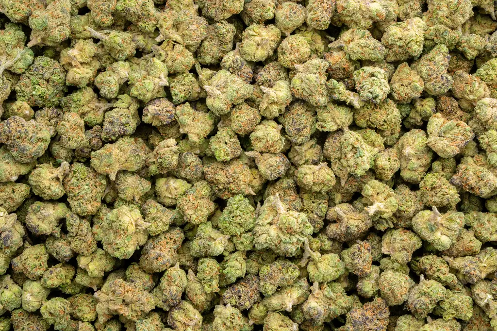 OG Cherry Indoor Smalls 