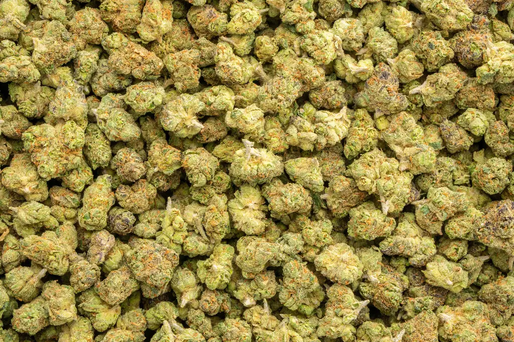 OG Cherry Indoor Smalls 