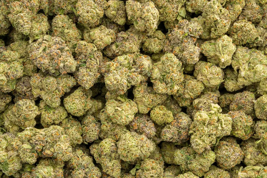 Candyland Indoor