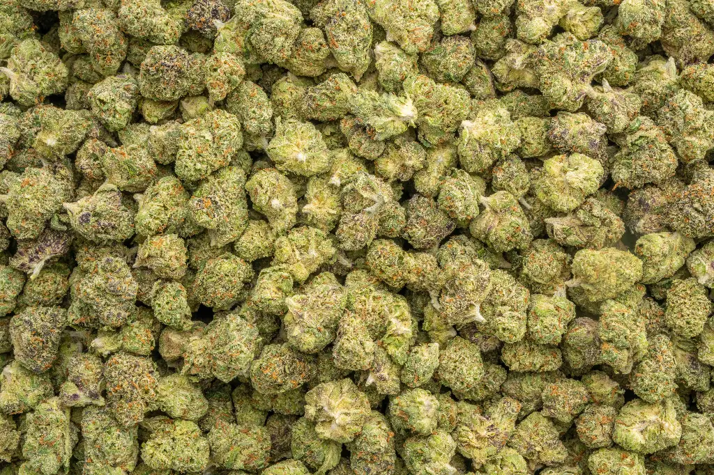 Candyland Indoor Smalls