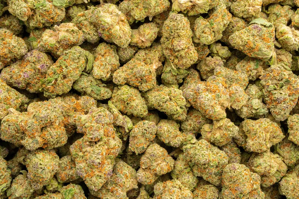 Sundae Driver Indoor Mediums 