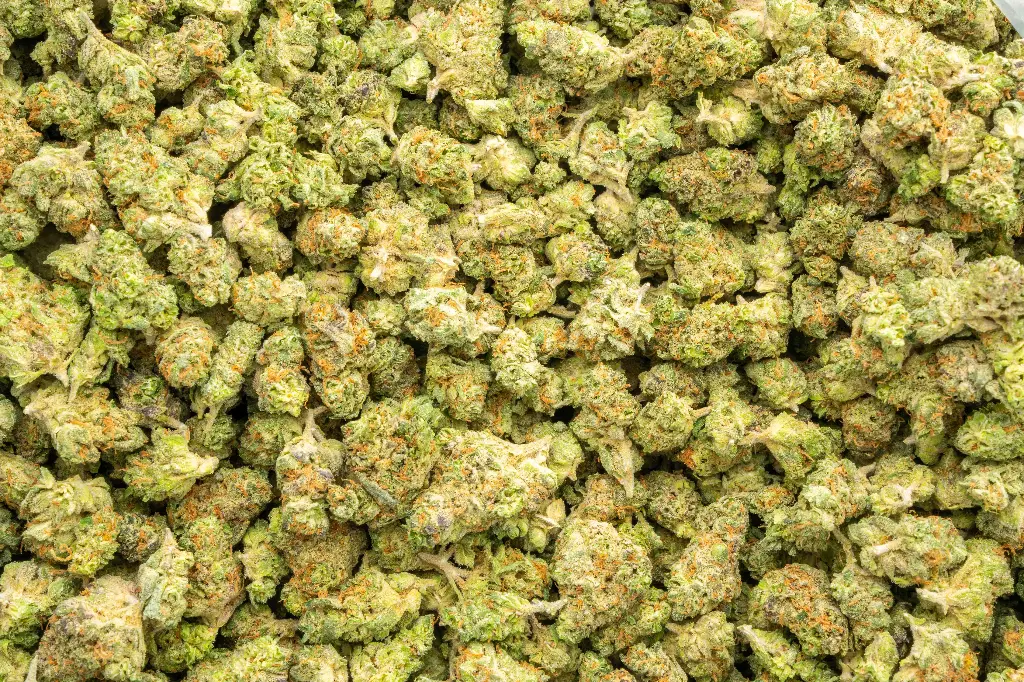 Kali Mist Indoor Smalls