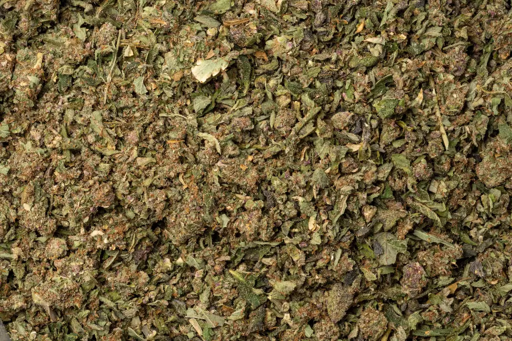 Gorilla Glue #4 Preroll Mix - B