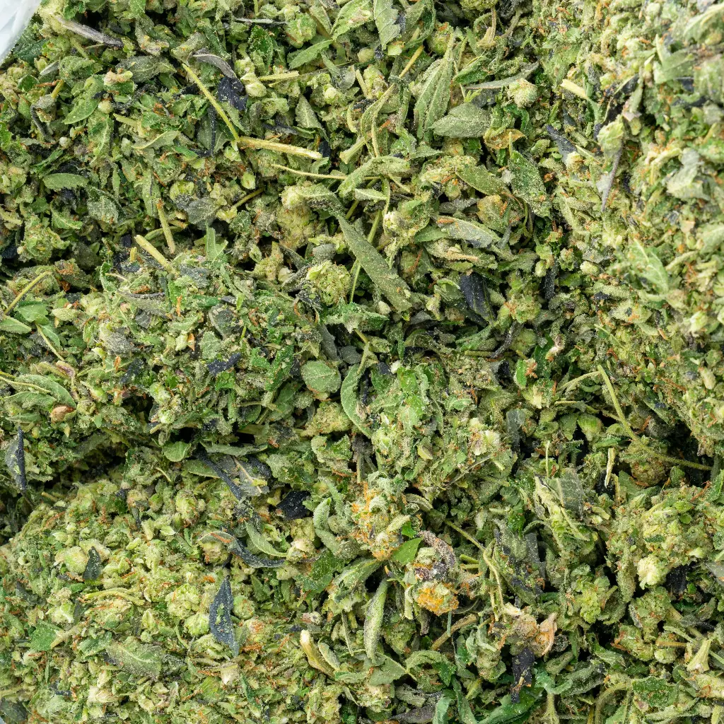 Bolo Runtz Preroll Mix-B