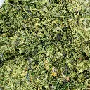 Bolo Runtz Preroll Mix-B