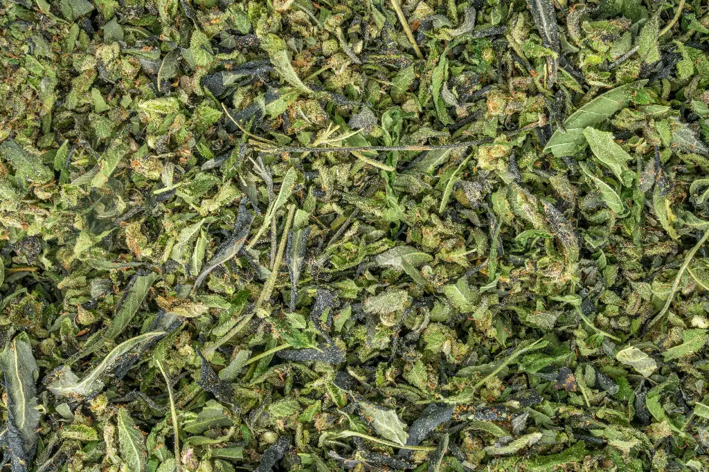 Black Cherry Cheesecake Preroll Mix-B