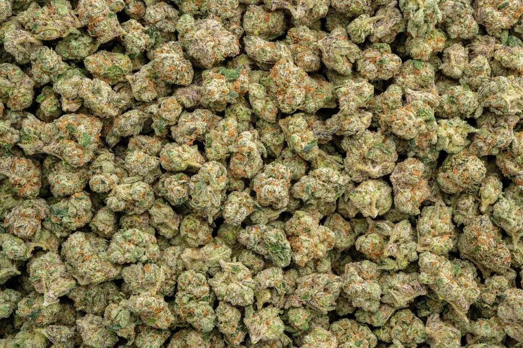 Martian Candy Indoor Smalls