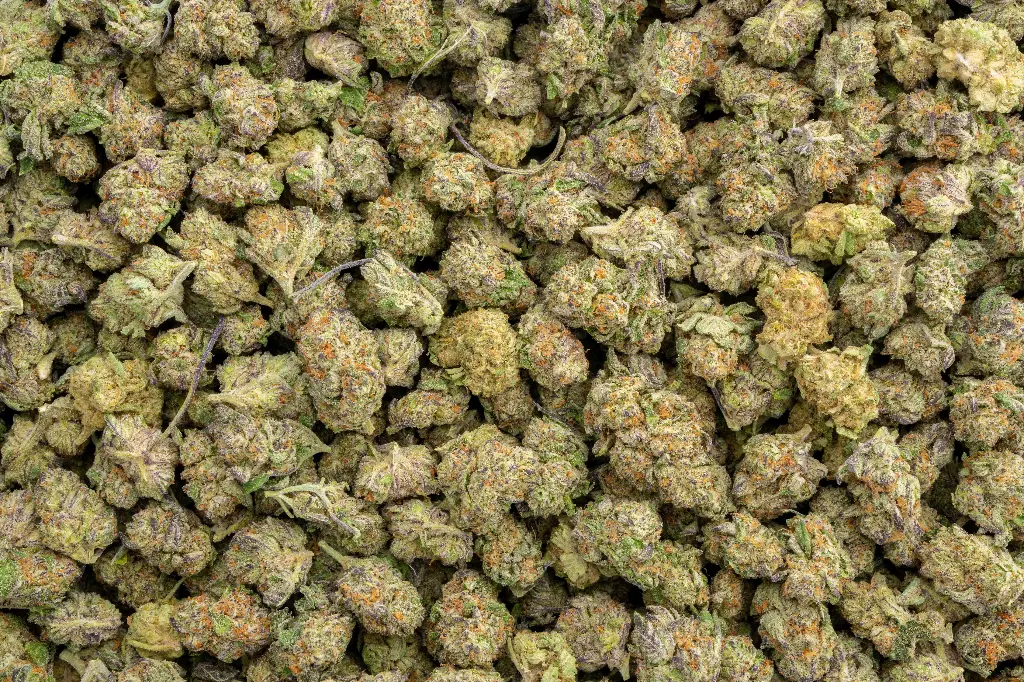 Cereal Milk Indoor Smalls