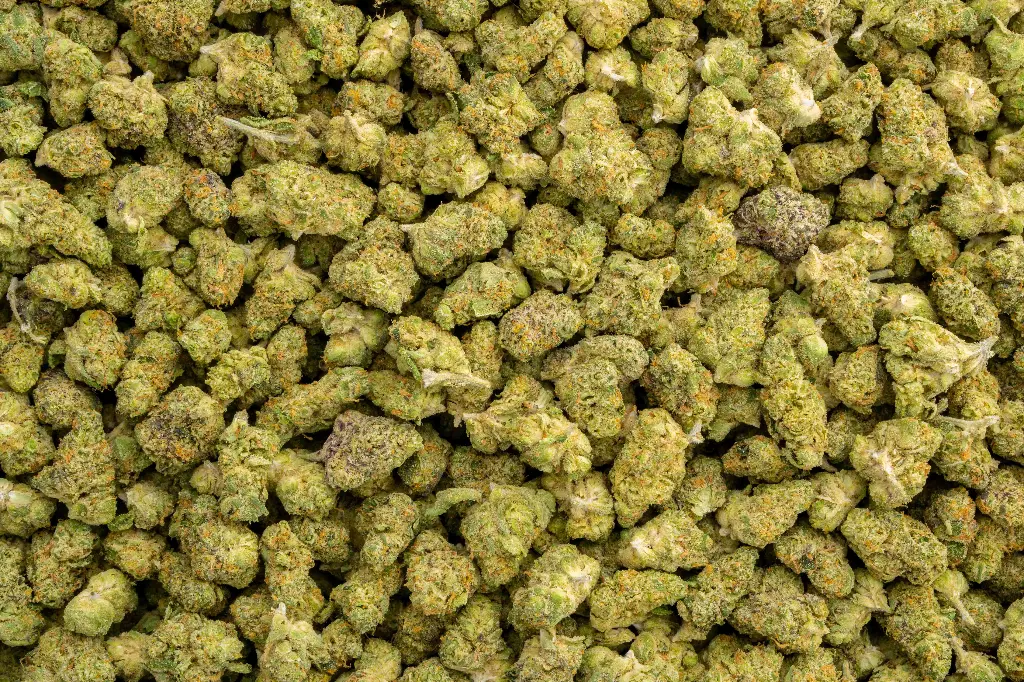 Donny Burger Indoor Smalls