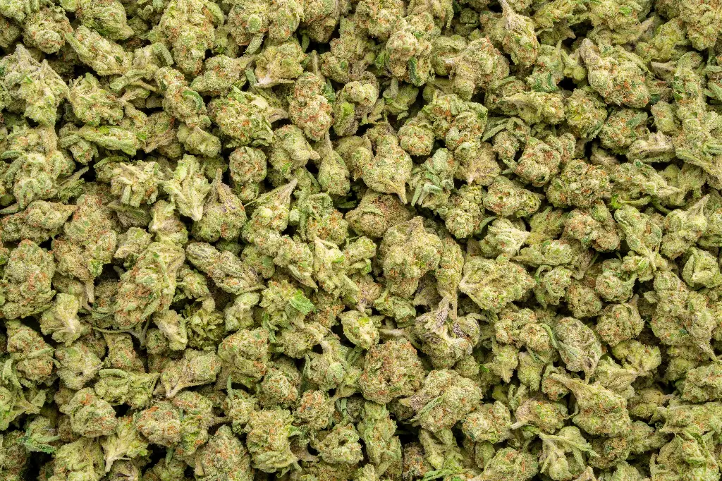 Unicorn Runtz Micros