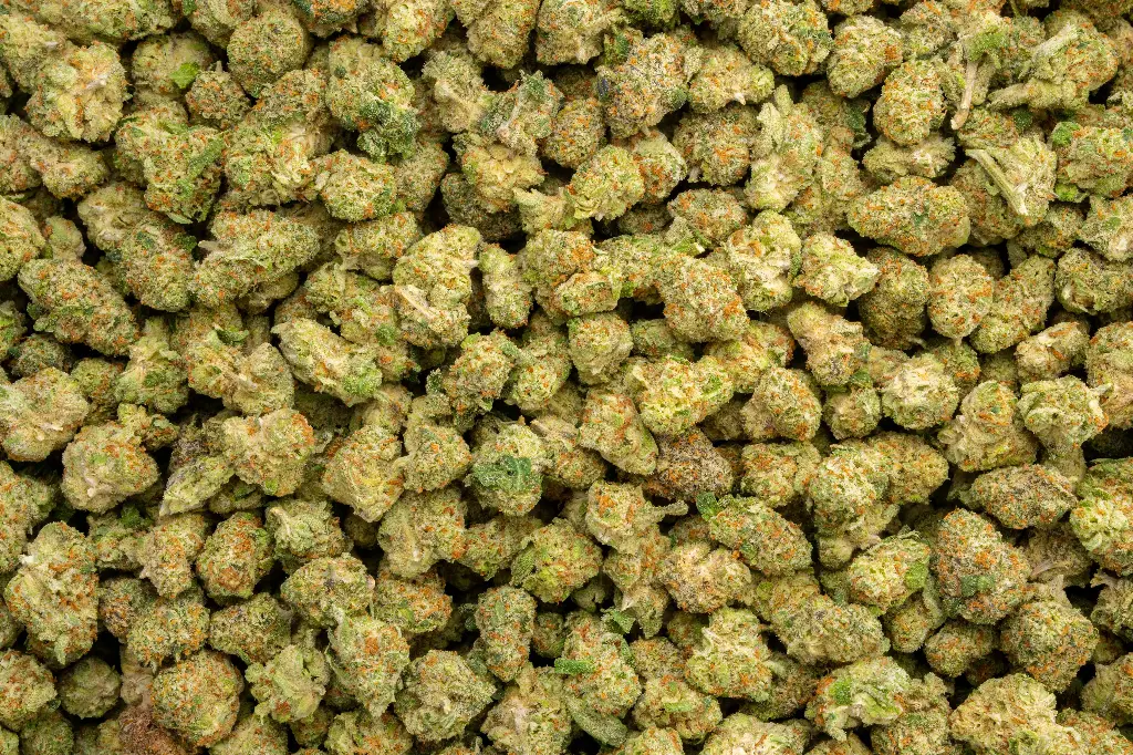 White Lemon Indoor Smalls 