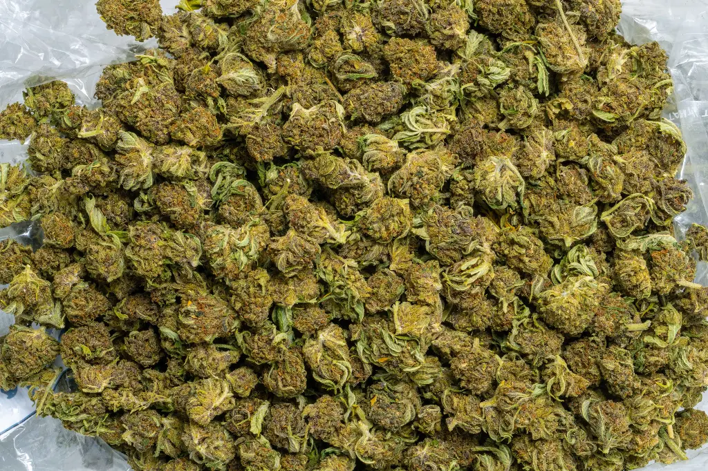 Cookies Smalls (CBD) 