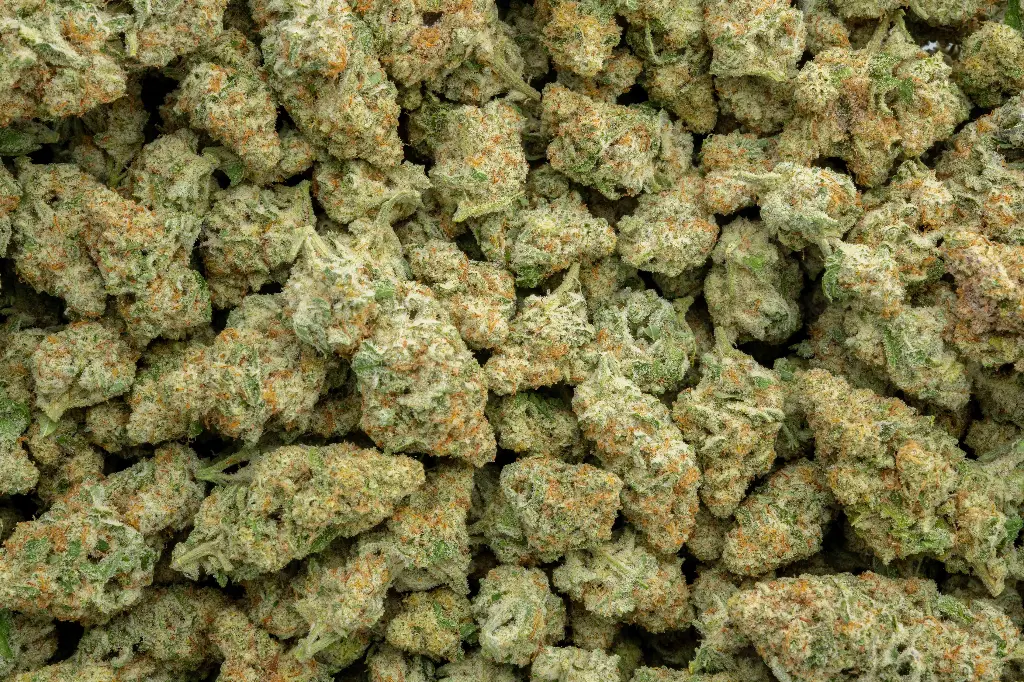 Dante's Inferno Indoor