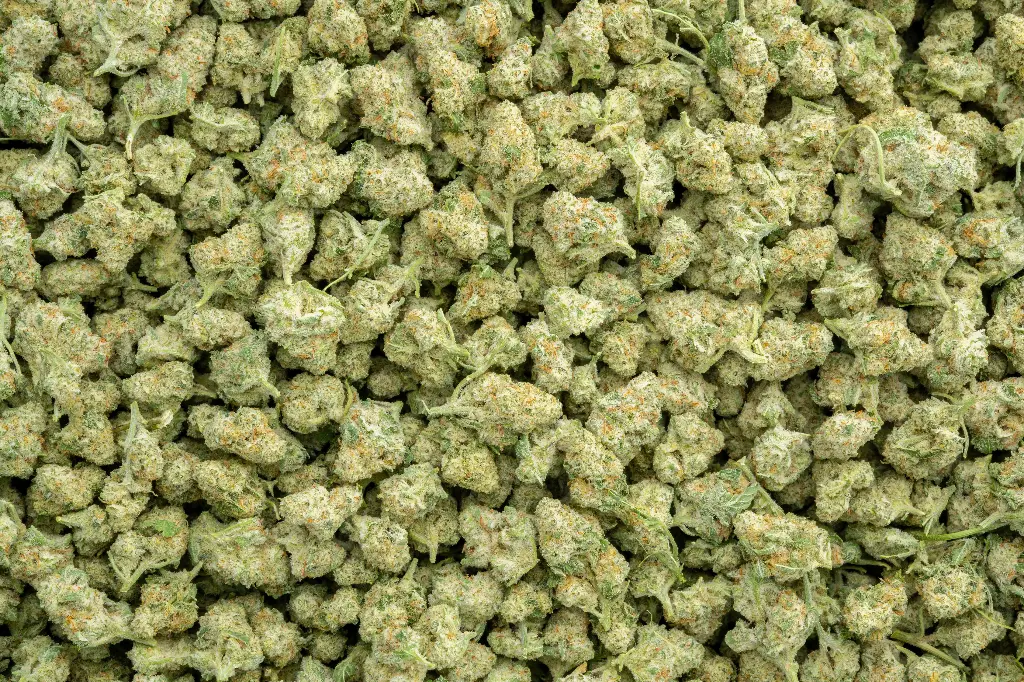 Dante's Inferno Indoor Smalls