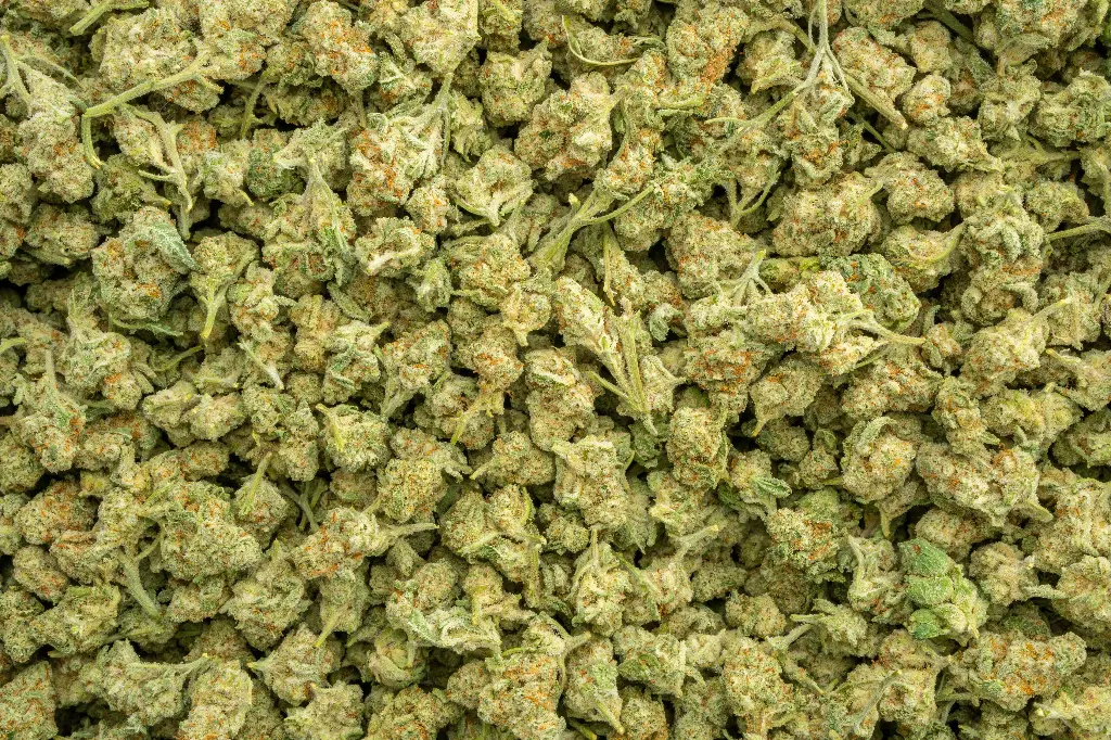 Dante's Inferno Indoor Smalls