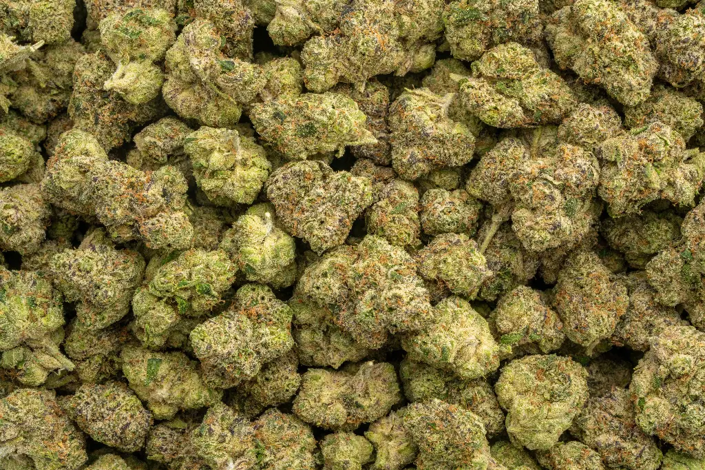 Doses N Mimosas Indoor