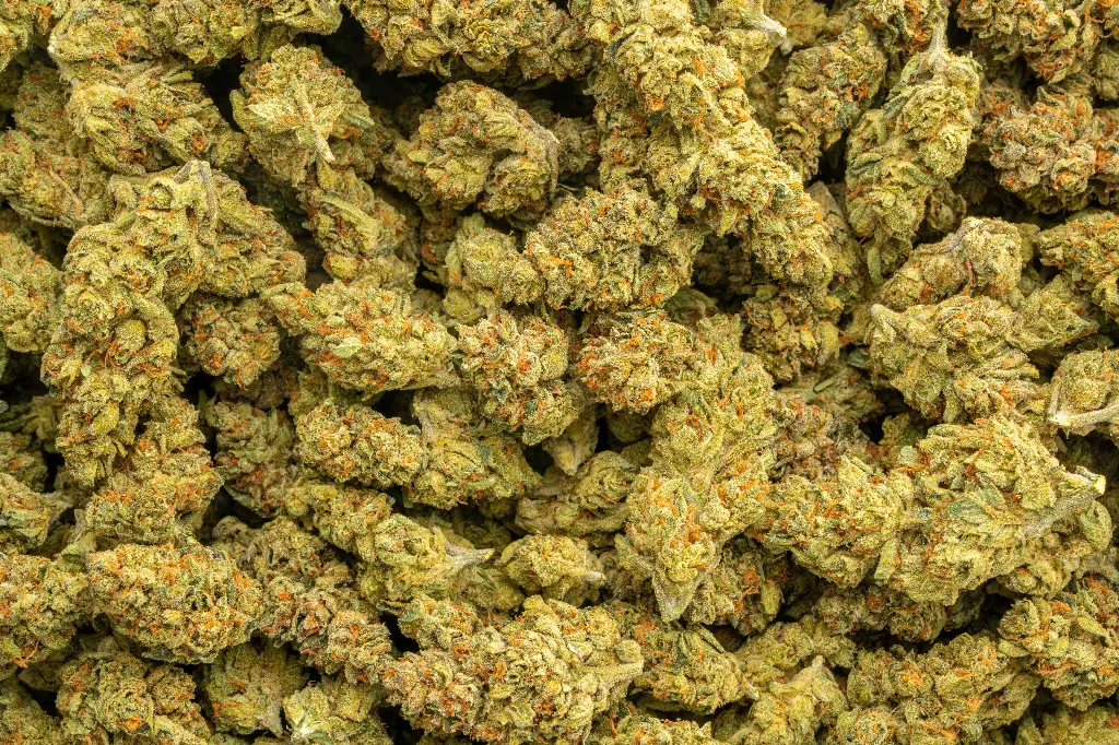 Dosidos Indoor
