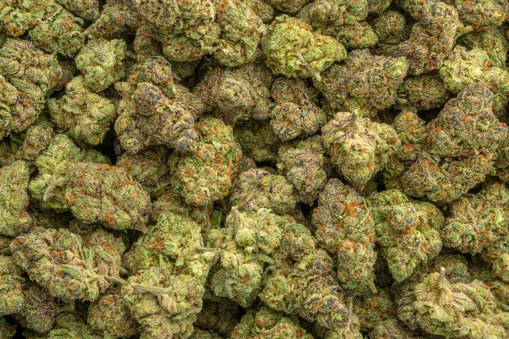 Drippin' Ain't Easy Indoor