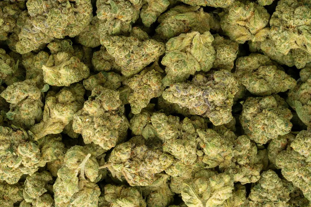 Falcon 9 OG Indoor